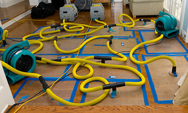 Professional Basement Flood Cleanup technician working in Encinal, TX